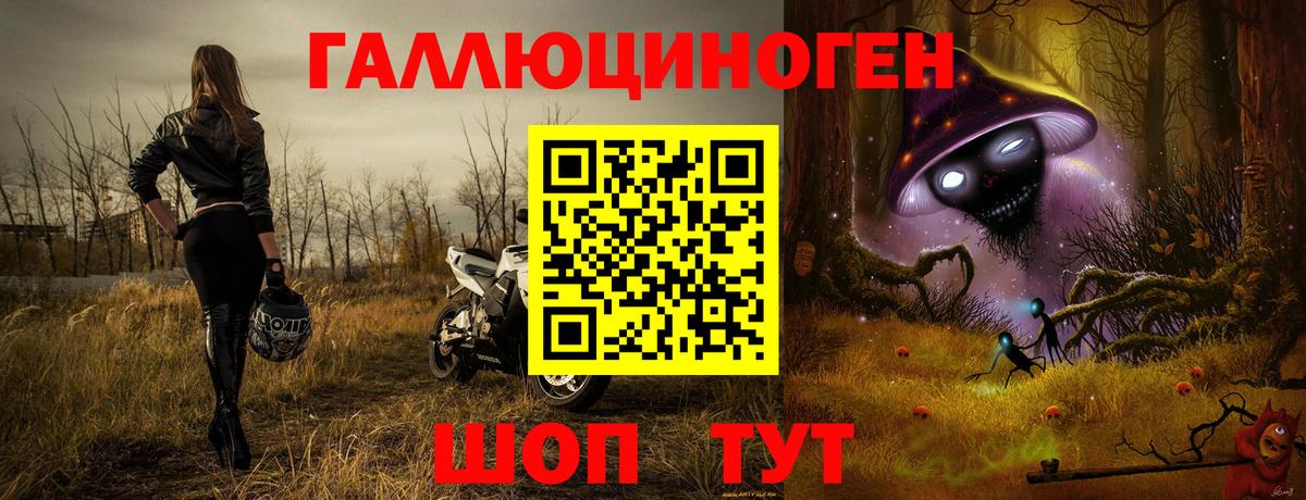 Псилоцибиновые грибы Cubensis  Вход с VPN  Заводоуковск 